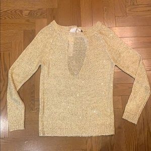 Beautiful Mesh Sequin Top